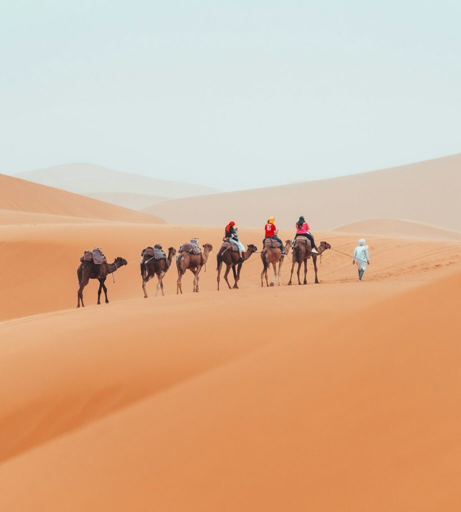 Camel trek with tourists through the sahara desert in Merzouga, Morocco